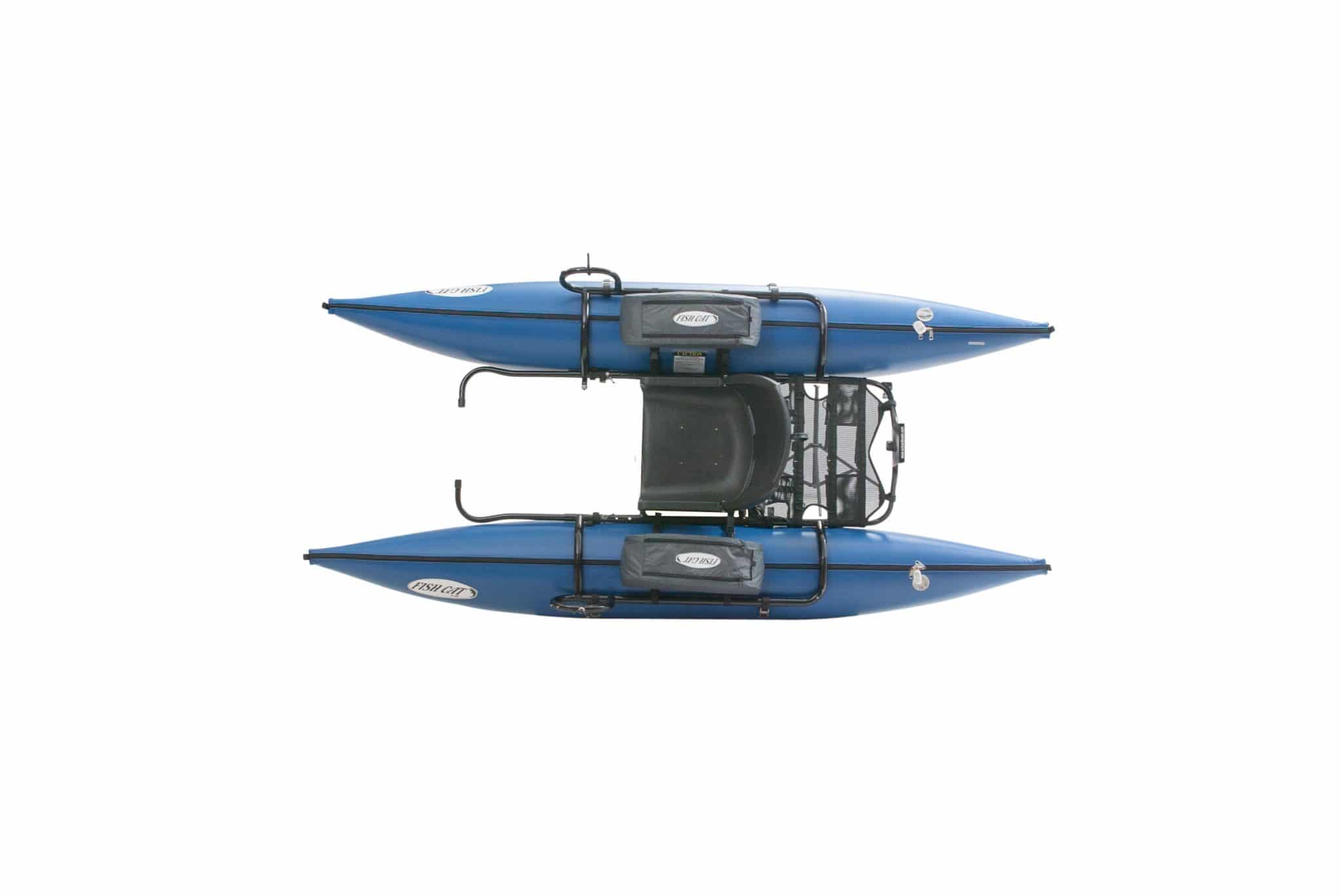 2016fishcat9ir Top Scaled